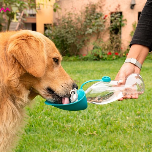 [0212-PETBBDHOJ] BEBEDERO PORTATIL HOJA